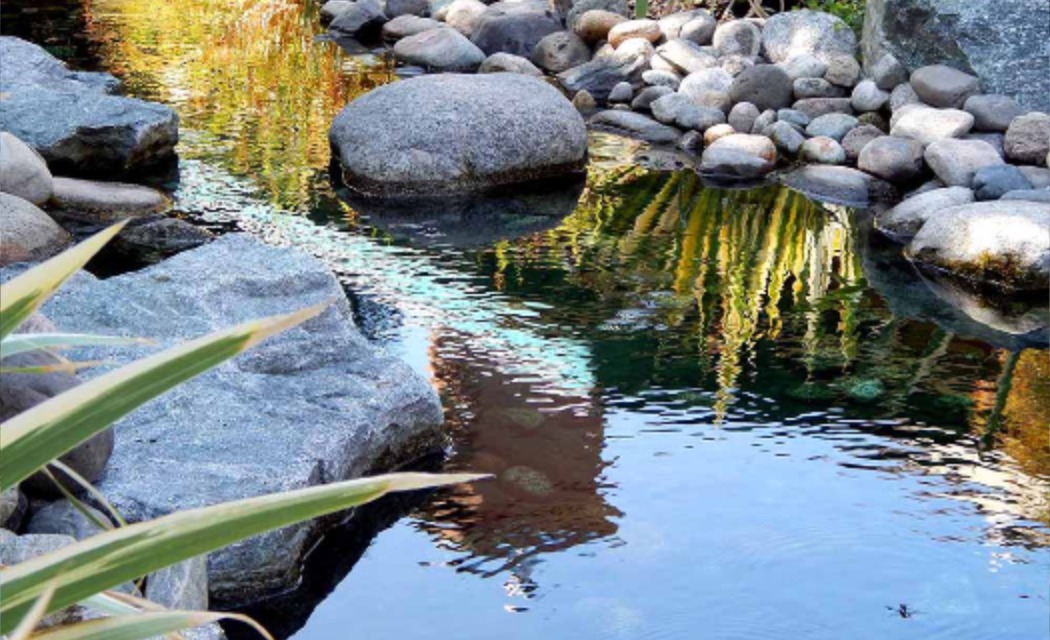 ls-project-5-slide-1